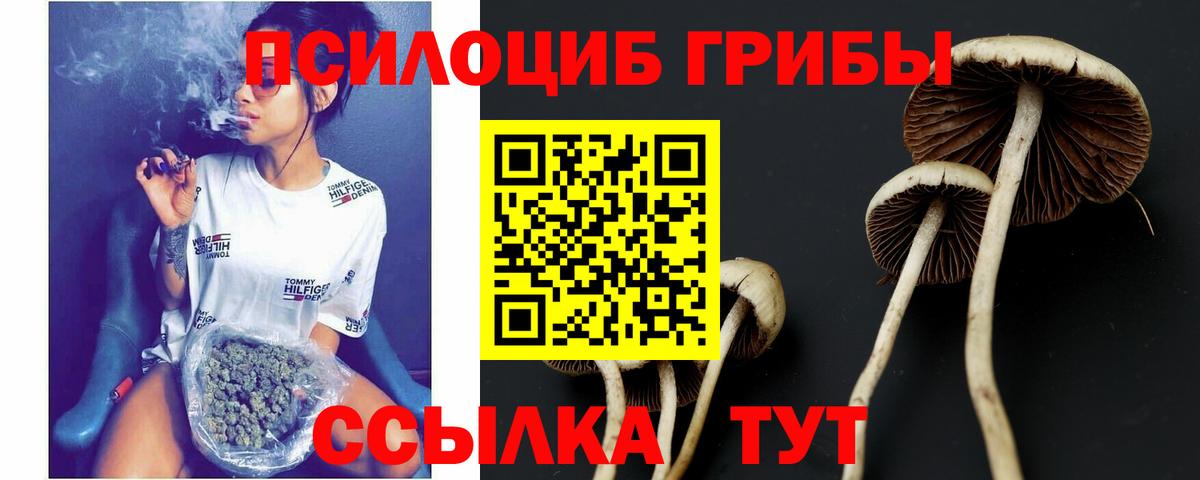 Керчь  Галлюциногенные грибы мицелий  Вход с VPN 